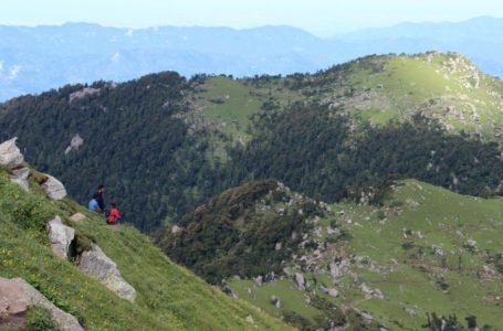 अर्की निवासी दो युवकों भुवनेश्वर शर्मा 40 साल और कुलदीप 36 साल को 48 घंटे बाद गंभीर हालत में मिले कंडानाला के घने जंगल में ।