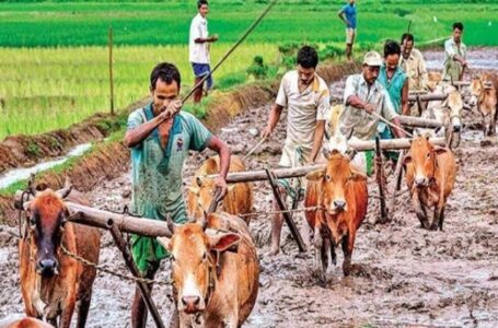 लॉकडाउन से प्रभावित प्रदेश के लाखों किसानों को सरकार ने राहत दी ,आधे दाम में मिलेंगा बीज