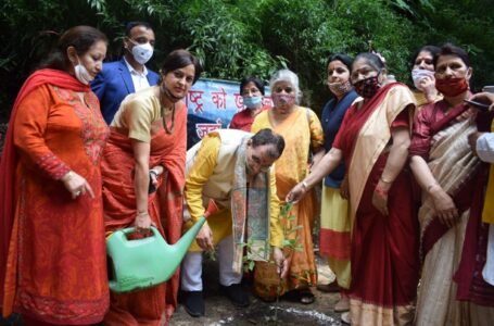 सुरेश भारद्वाज  एव  महिला मोर्चा  द्वारा किये गये पौधेरोपण