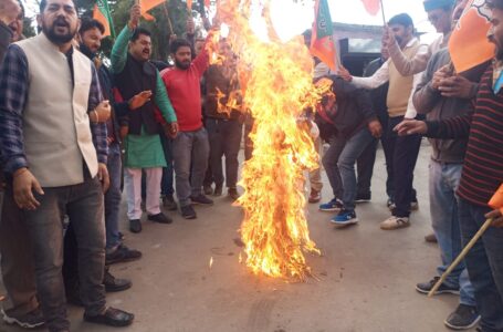 विधानसभा में विपक्ष की बदसलूकी के मामले में शिलाई भाजपा ने फूंका कांग्रेस का पुतला