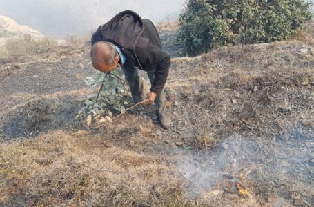 जंगल में लगी आग को स्थानीय ग्रामीणों तथा वन कर्मियों ने बुझाई