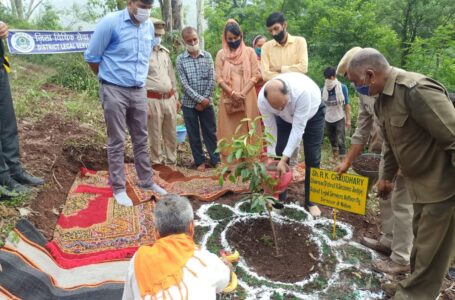 जिला विधिक सेवा प्राधिकरण ने ‘जंगली फल लगाओ, फसल को बचाओ’ नारे के साथ किया पौधरोपण