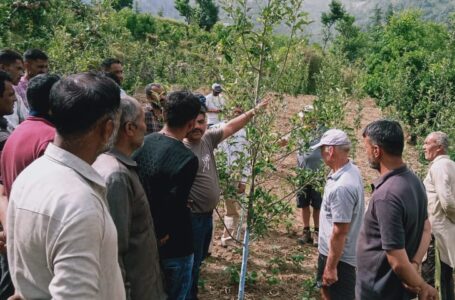 सिरमौर : कंई साल से HDO न होने से बागवानों को नही मिल रहा कईं सरकारी योजनाओं का फायदा