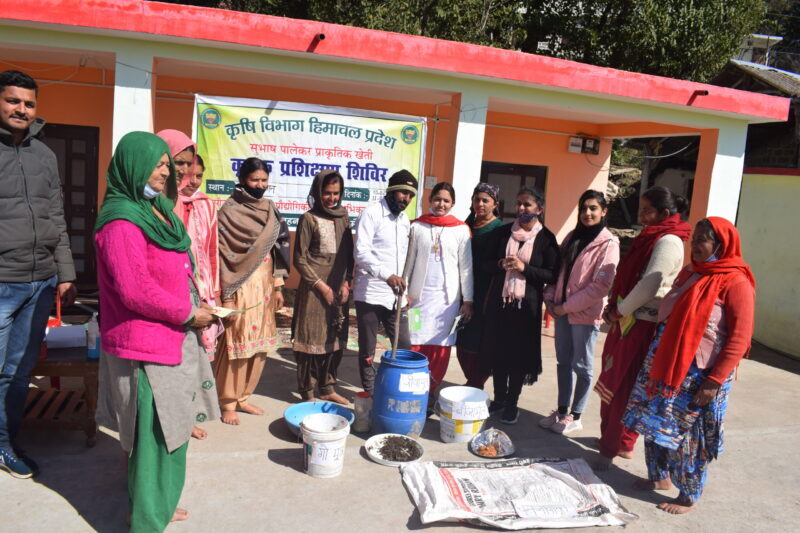 प्राकृतिक खेती अपनाकर खुशहाल हो रहे सिरमौर के किसान व बागवान