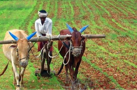 प्रदेश में आढ़तियों को मंडी फीस में छूट; प्रदेश सरकार ने जारी की अधिसूचना