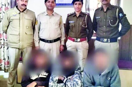 व्यूलिया से चुराया था चार लाख का लोहा, पुलिस ने केस दर्ज कर शुरू की छानबीन