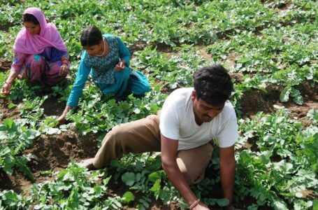 प्रदेश सरकार की किसान हितैषी योजनाओं से किसानों के जीवन में आ रही सम्पन्नता